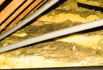 Attic Insulation Removal | Attic Cleaning San Rafael, CA