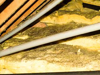 Insulation Removal | Attic Cleaning San Rafael, CA